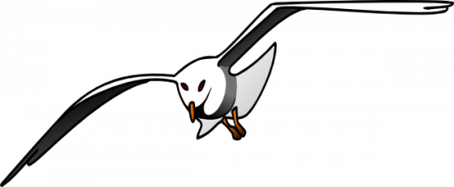 albatross fly diagonal direction clipart